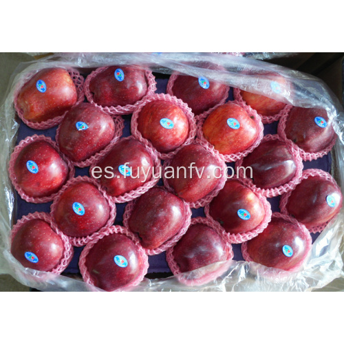 deliciosa manzana roja de Huaniu en venta